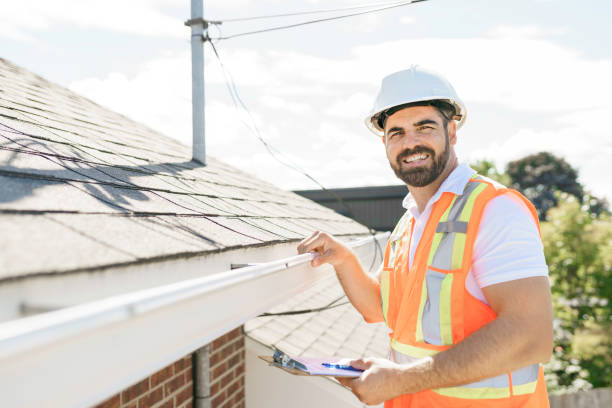 Best Roof Gutter Cleaning  in Bradley, IL