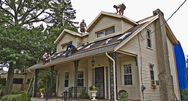 Trusted Bradley, IL Roofing Contractor Experts